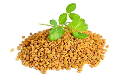 Fenugreek Extract